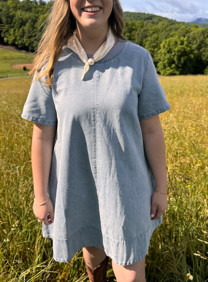 Buttercup Denim Dress